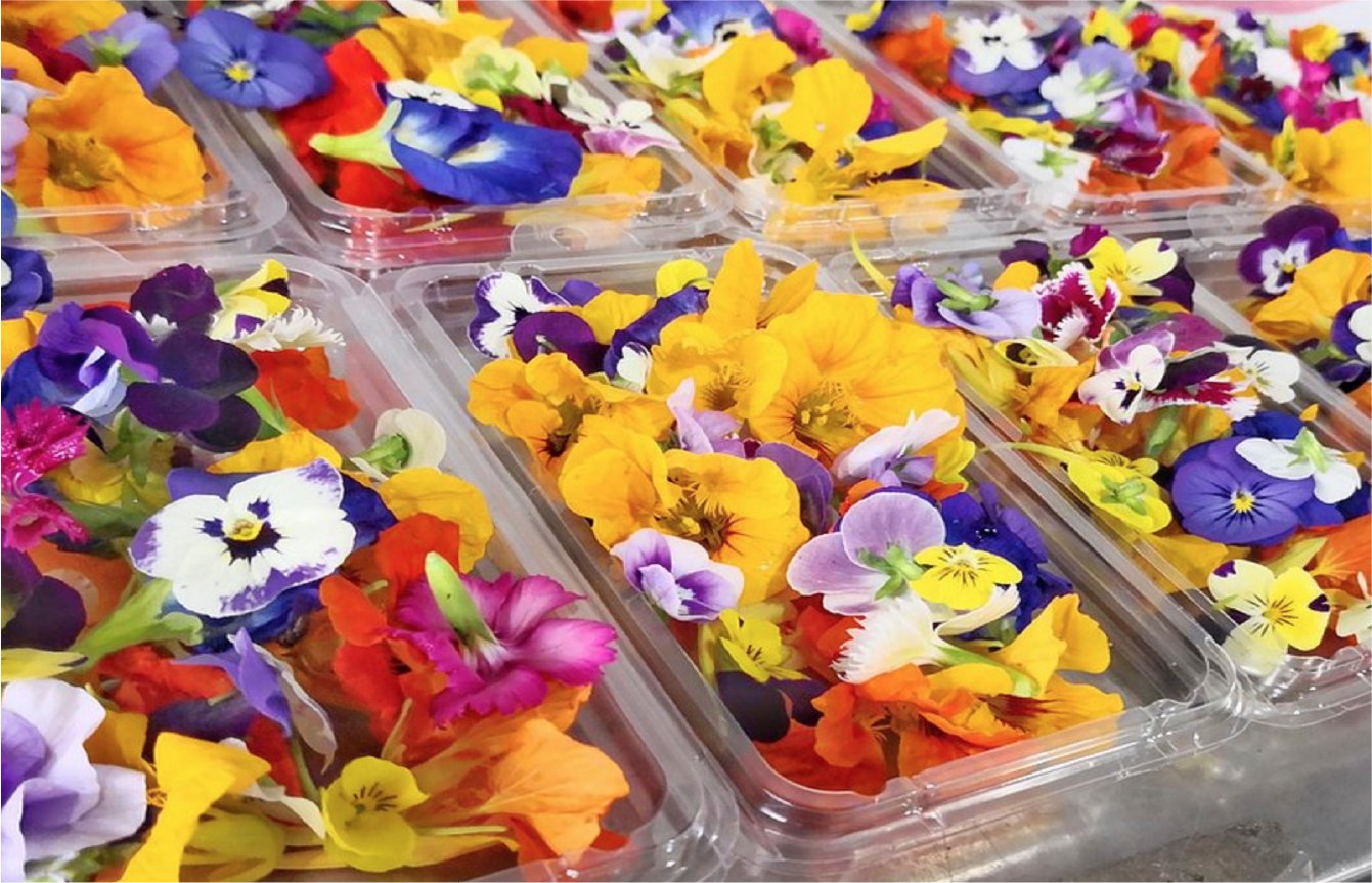 Phil's Produce Toronto Assorted Edible Flowers, https://torontogrocerydelivery.ca/